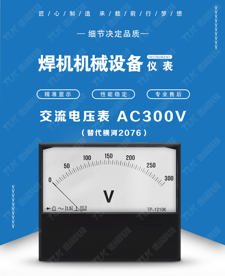 06-2076AC300V.jpg